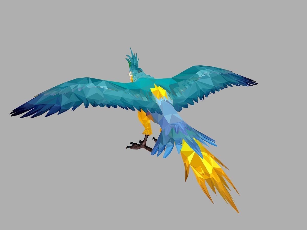 Blue Parrot Low Polygon Art Bird Animal Low-poly 3D model_17