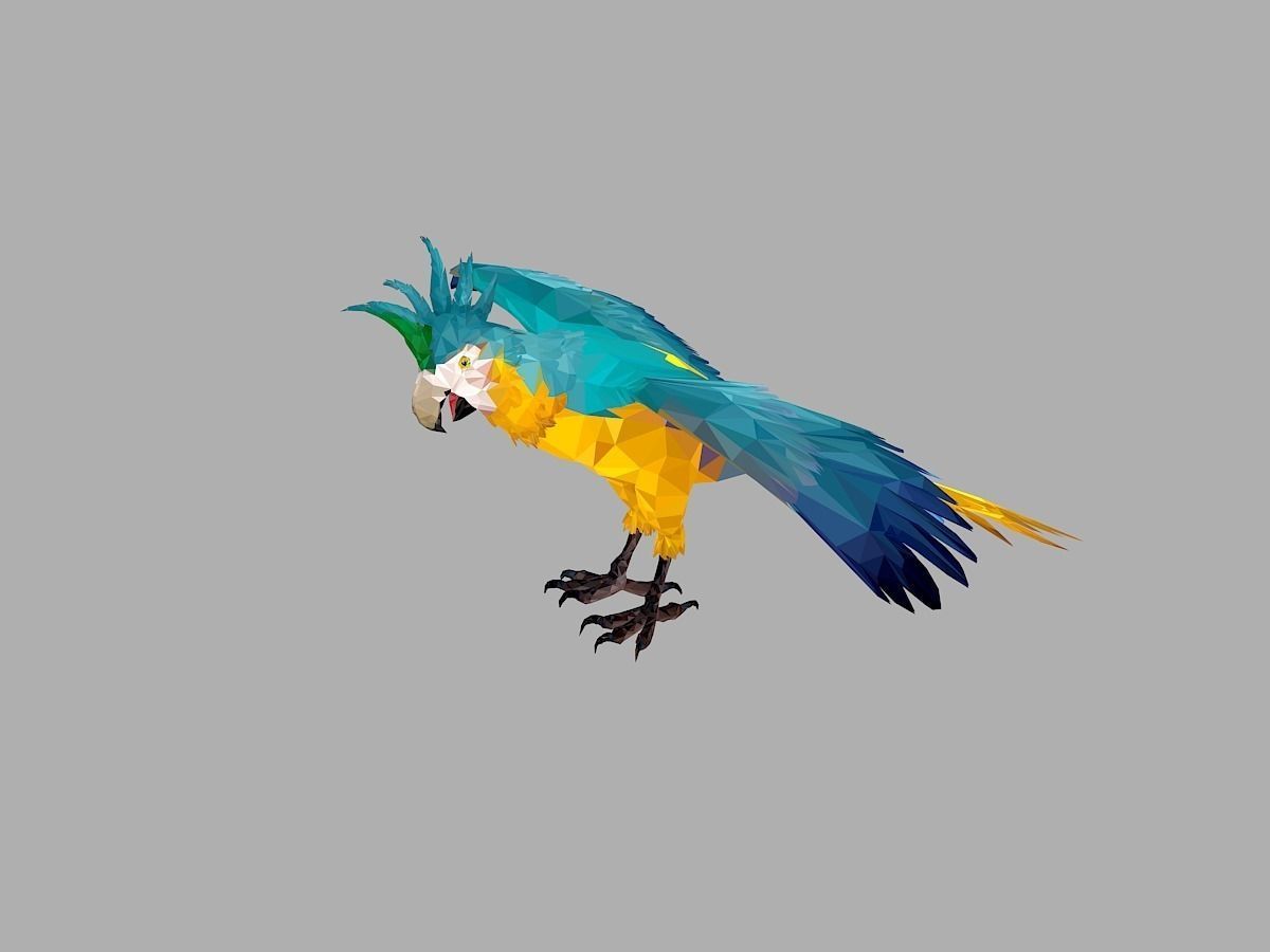 Blue Parrot Low Polygon Art Bird Animal Low-poly 3D model_8
