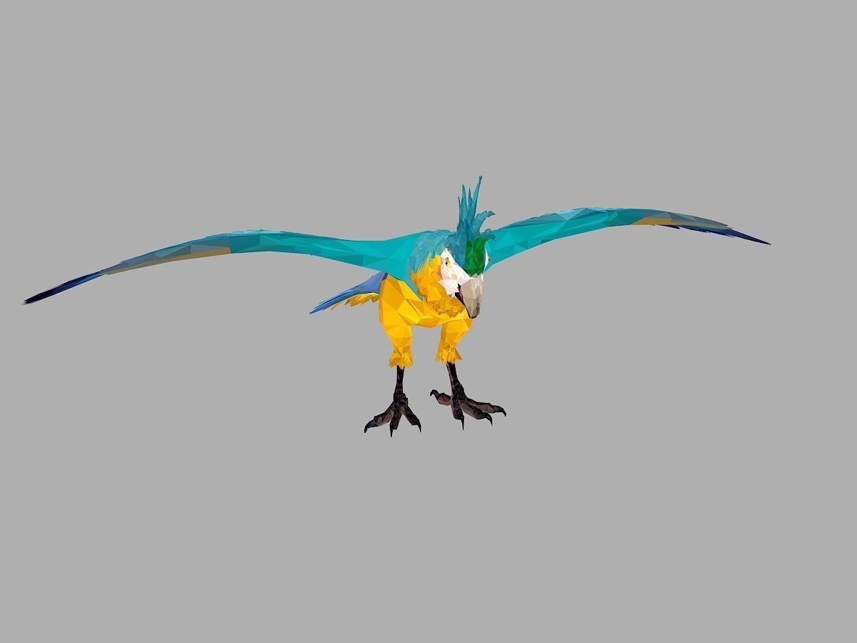 Blue Parrot Low Polygon Art Bird Animal Low-poly 3D model_1