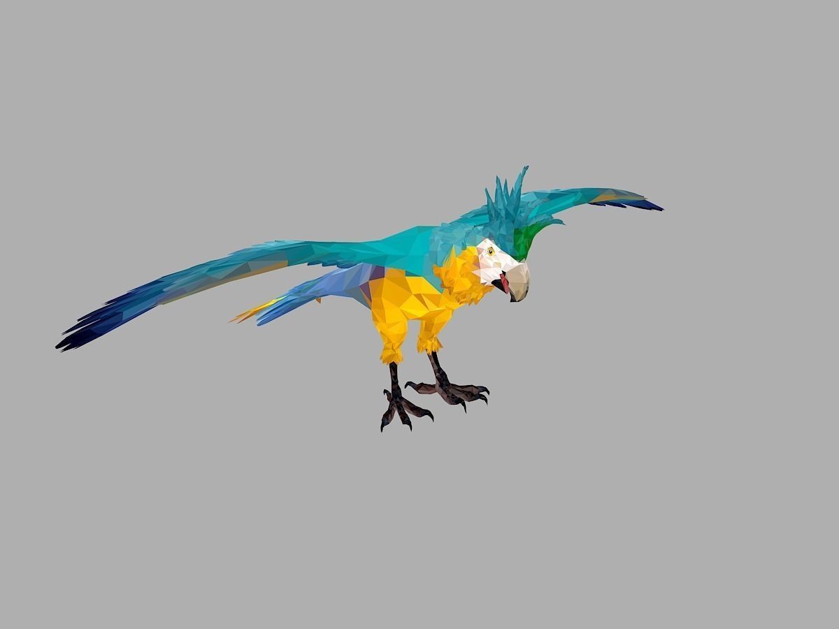 Blue Parrot Low Polygon Art Bird Animal Low-poly 3D model_30