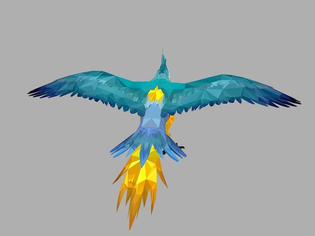 Blue Parrot Low Polygon Art Bird Animal Low-poly 3D model_19