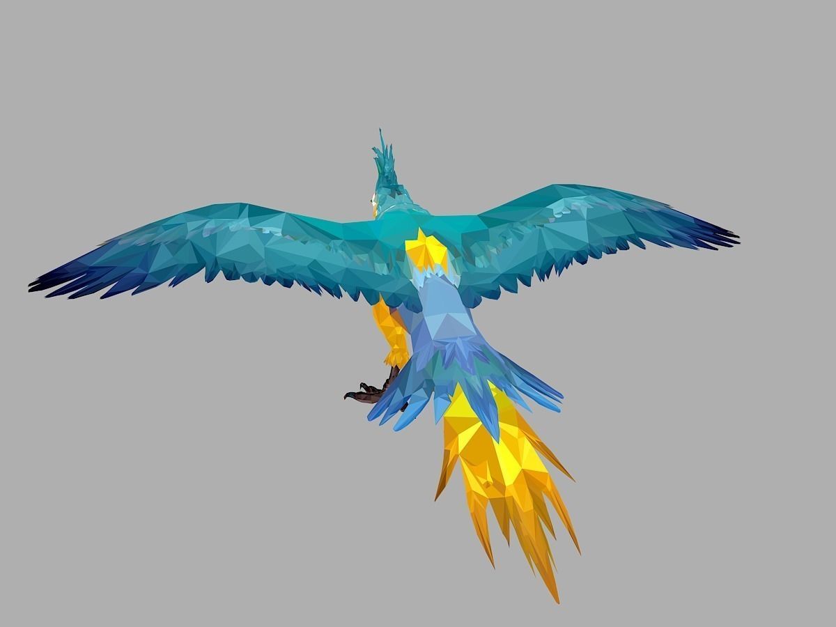 Blue Parrot Low Polygon Art Bird Animal Low-poly 3D model_14