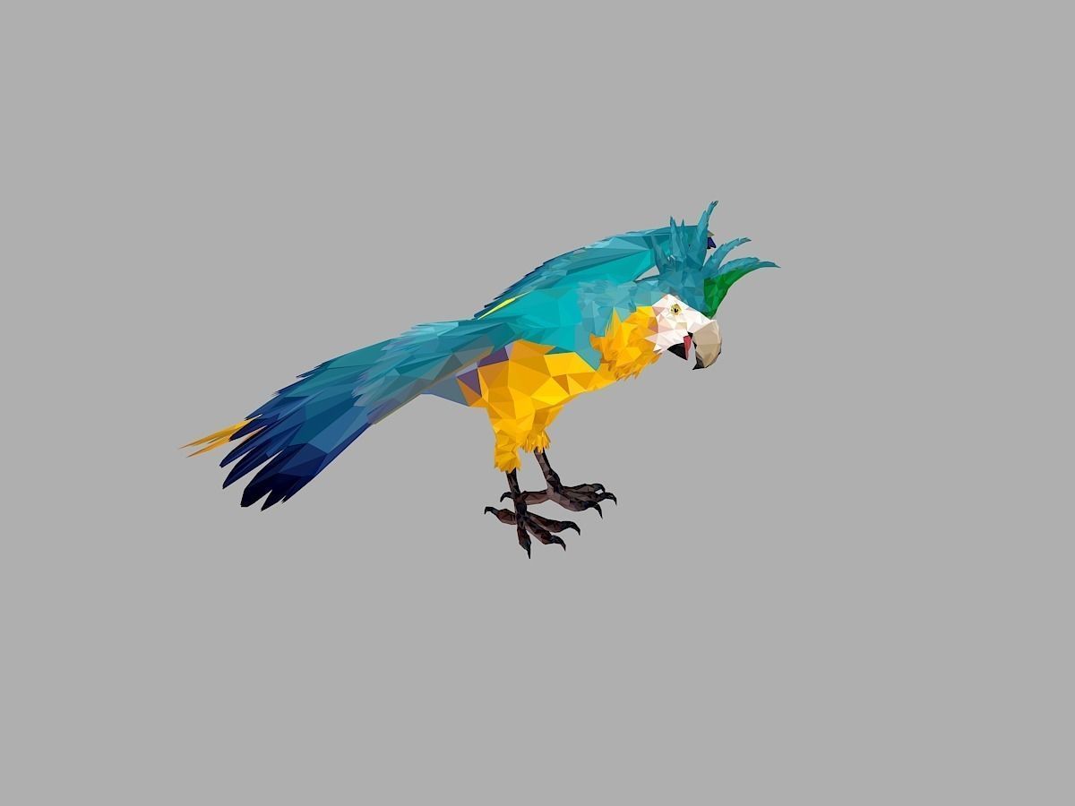 Blue Parrot Low Polygon Art Bird Animal Low-poly 3D model_28