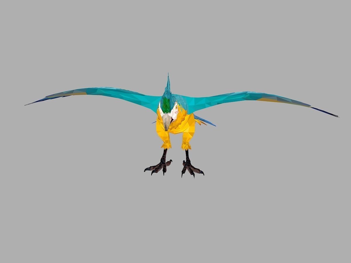 Blue Parrot Low Polygon Art Bird Animal Low-poly 3D model_3