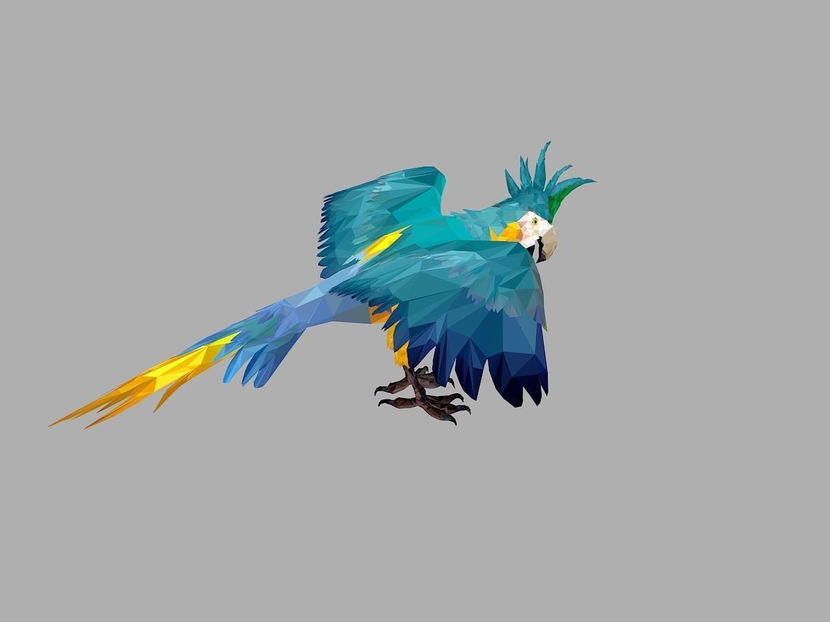 Blue Parrot Low Polygon Art Bird Animal Low-poly 3D model_25