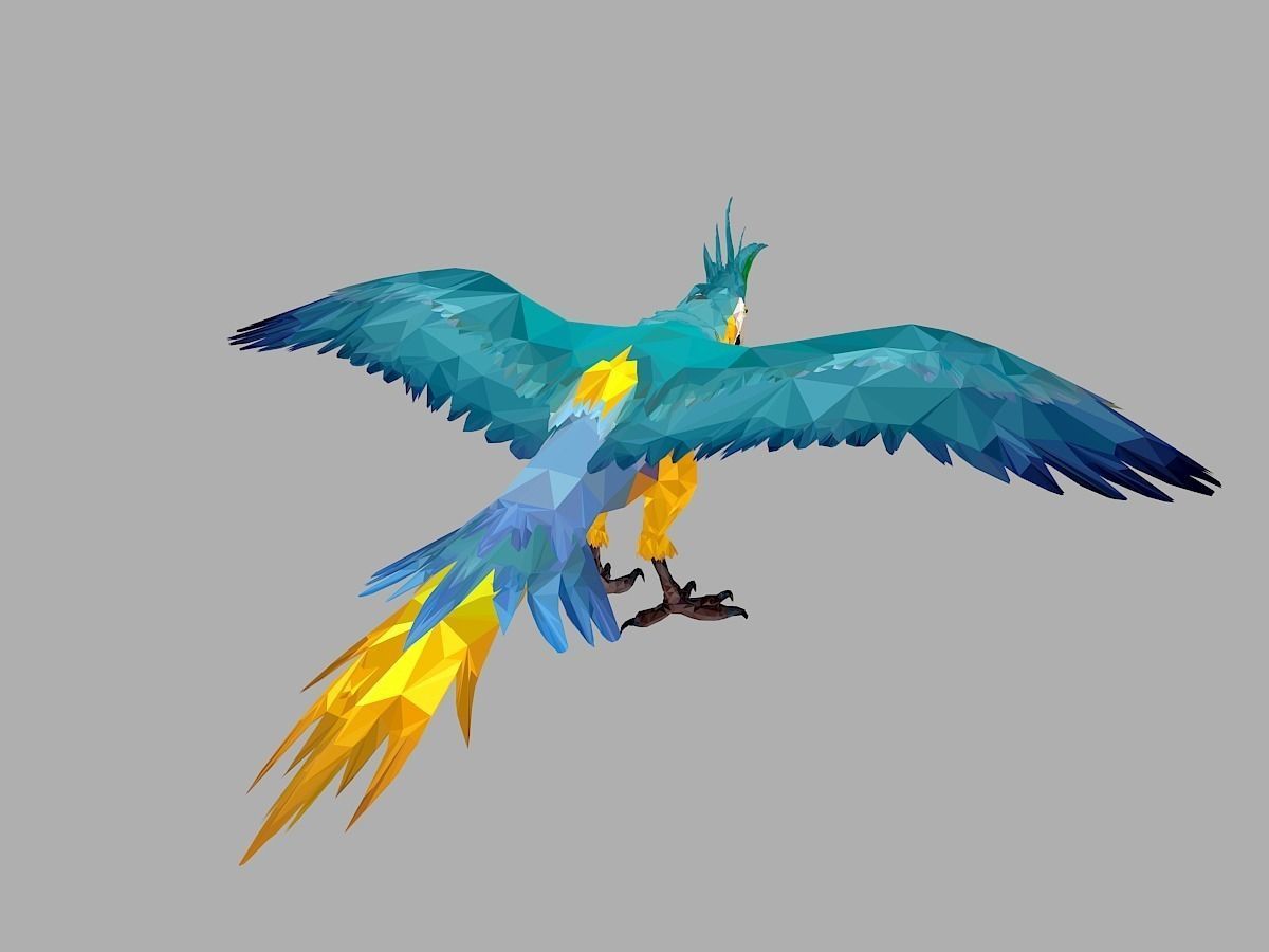 Blue Parrot Low Polygon Art Bird Animal Low-poly 3D model_21
