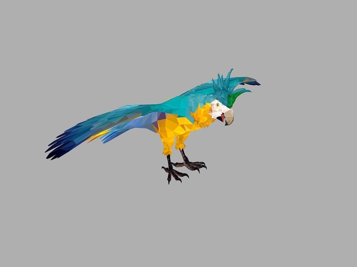 Blue Parrot Low Polygon Art Bird Animal Low-poly 3D model_29