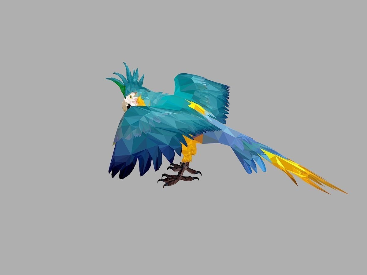 Blue Parrot Low Polygon Art Bird Animal Low-poly 3D model_11