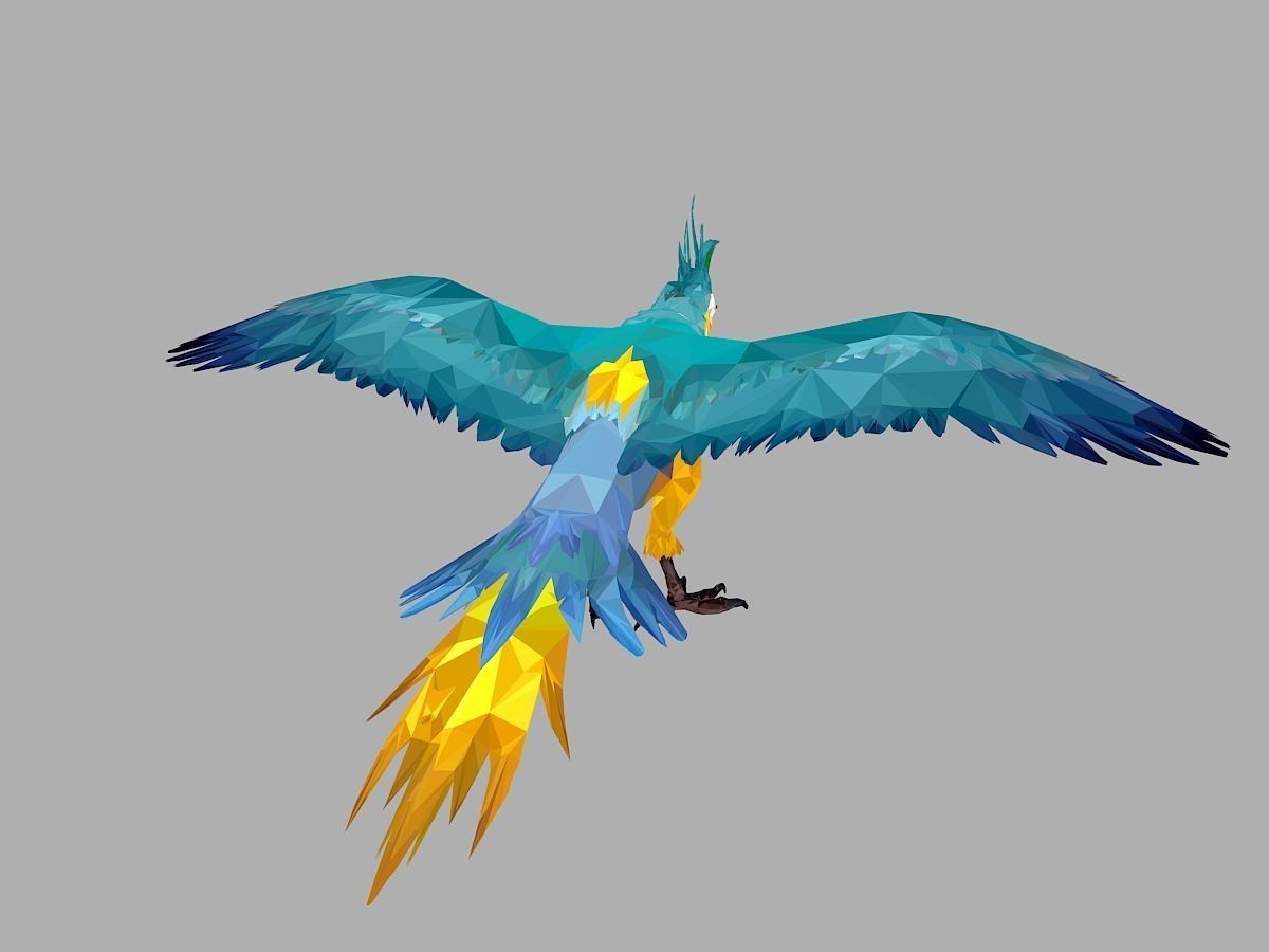 Blue Parrot Low Polygon Art Bird Animal Low-poly 3D model_20
