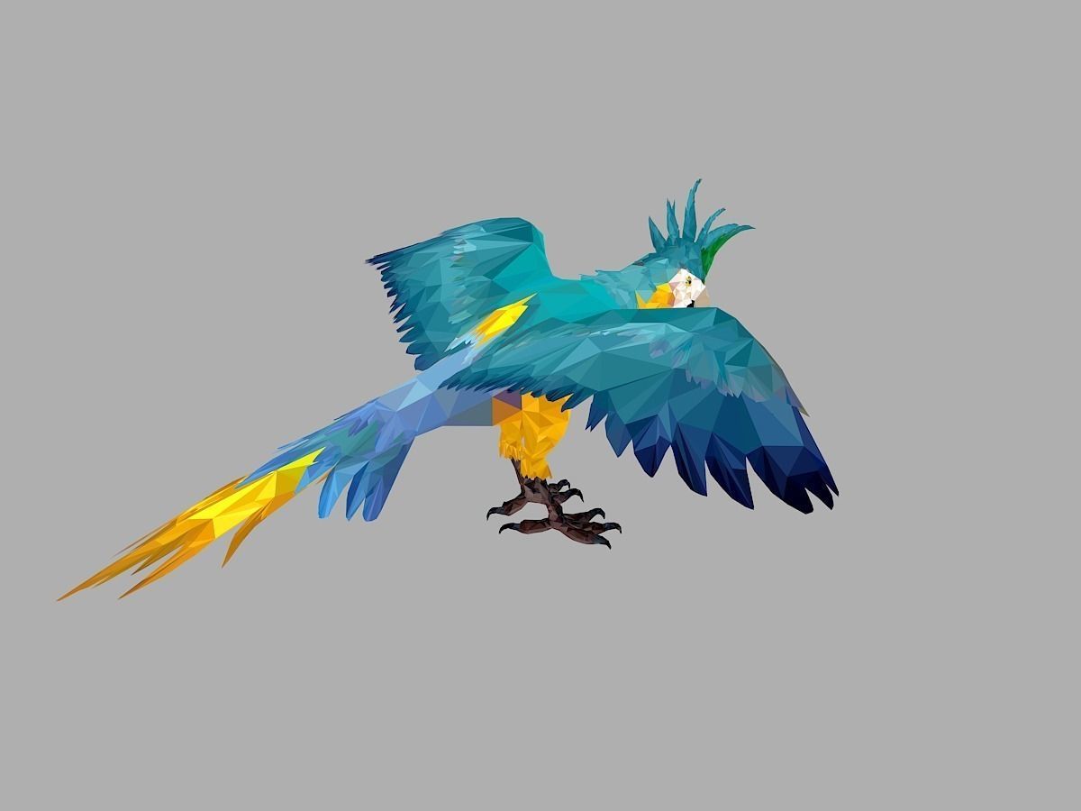 Blue Parrot Low Polygon Art Bird Animal Low-poly 3D model_24