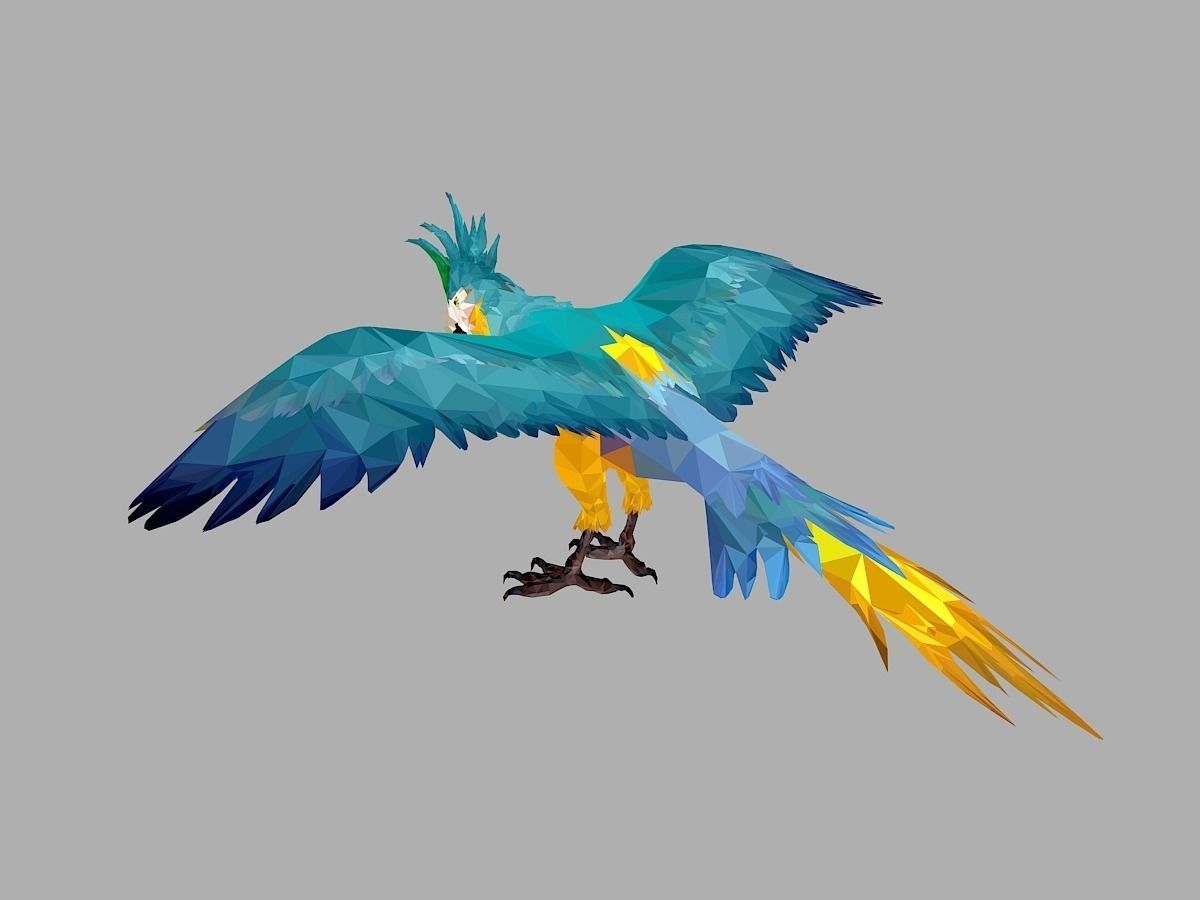 Blue Parrot Low Polygon Art Bird Animal Low-poly 3D model_15