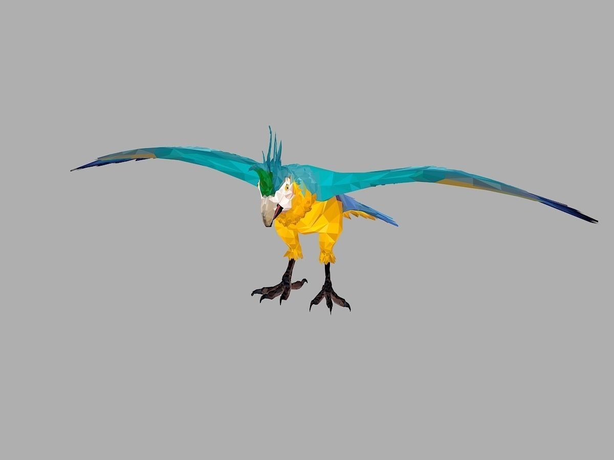 Blue Parrot Low Polygon Art Bird Animal Low-poly 3D model_5