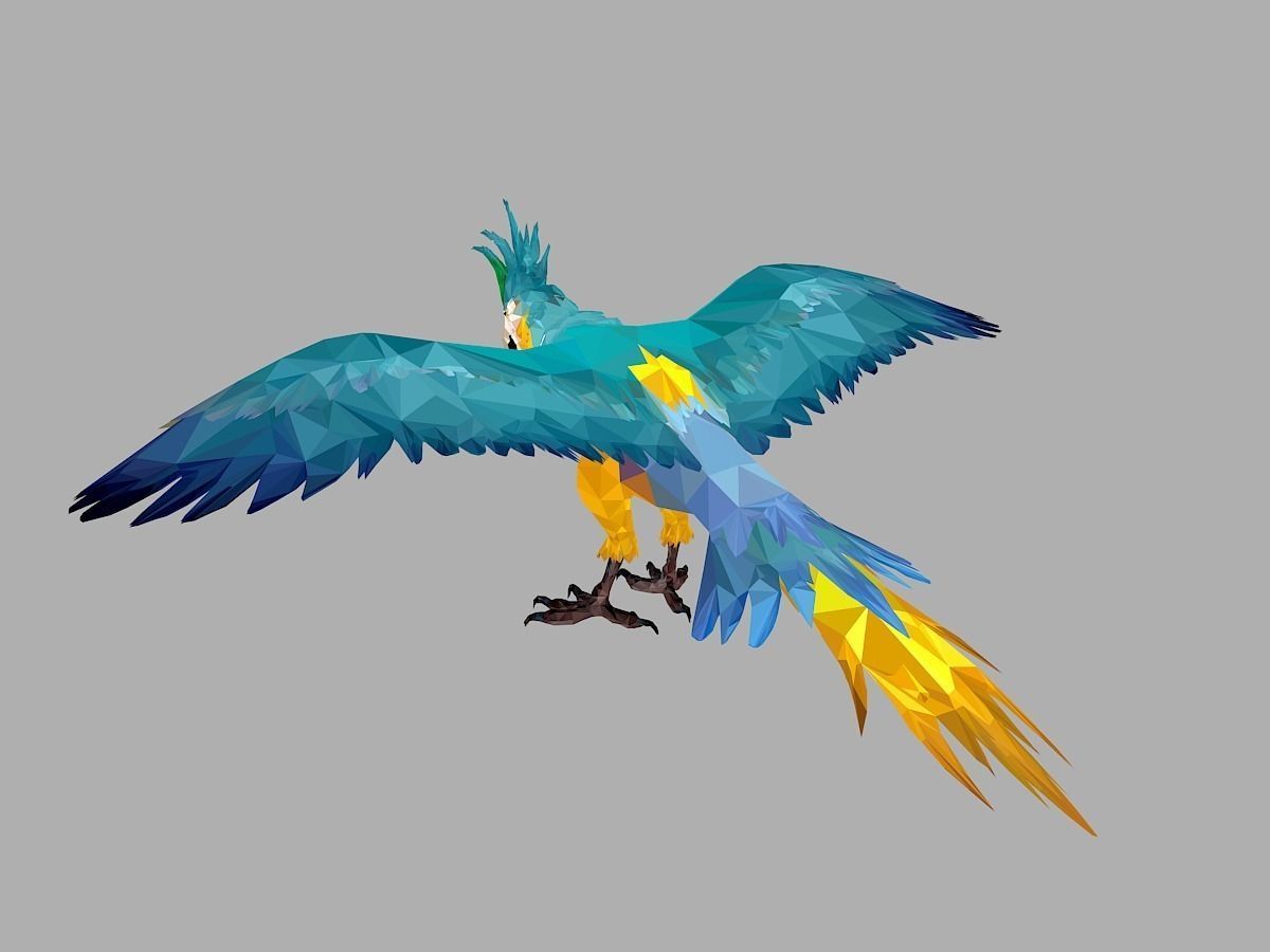 Blue Parrot Low Polygon Art Bird Animal Low-poly 3D model_16