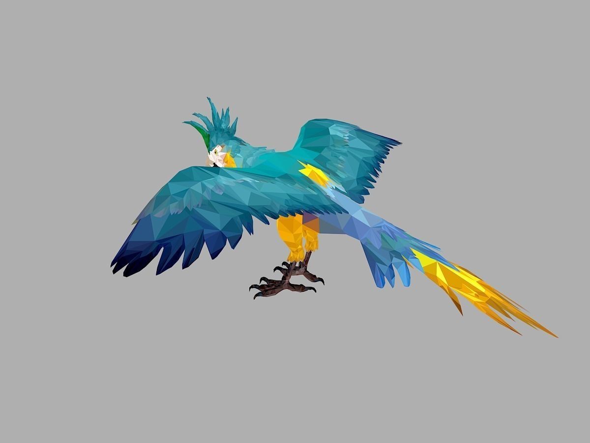 Blue Parrot Low Polygon Art Bird Animal Low-poly 3D model_13