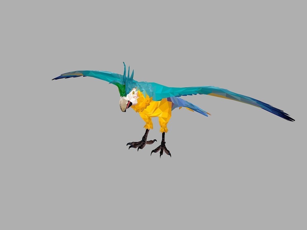 Blue Parrot Low Polygon Art Bird Animal Low-poly 3D model_6