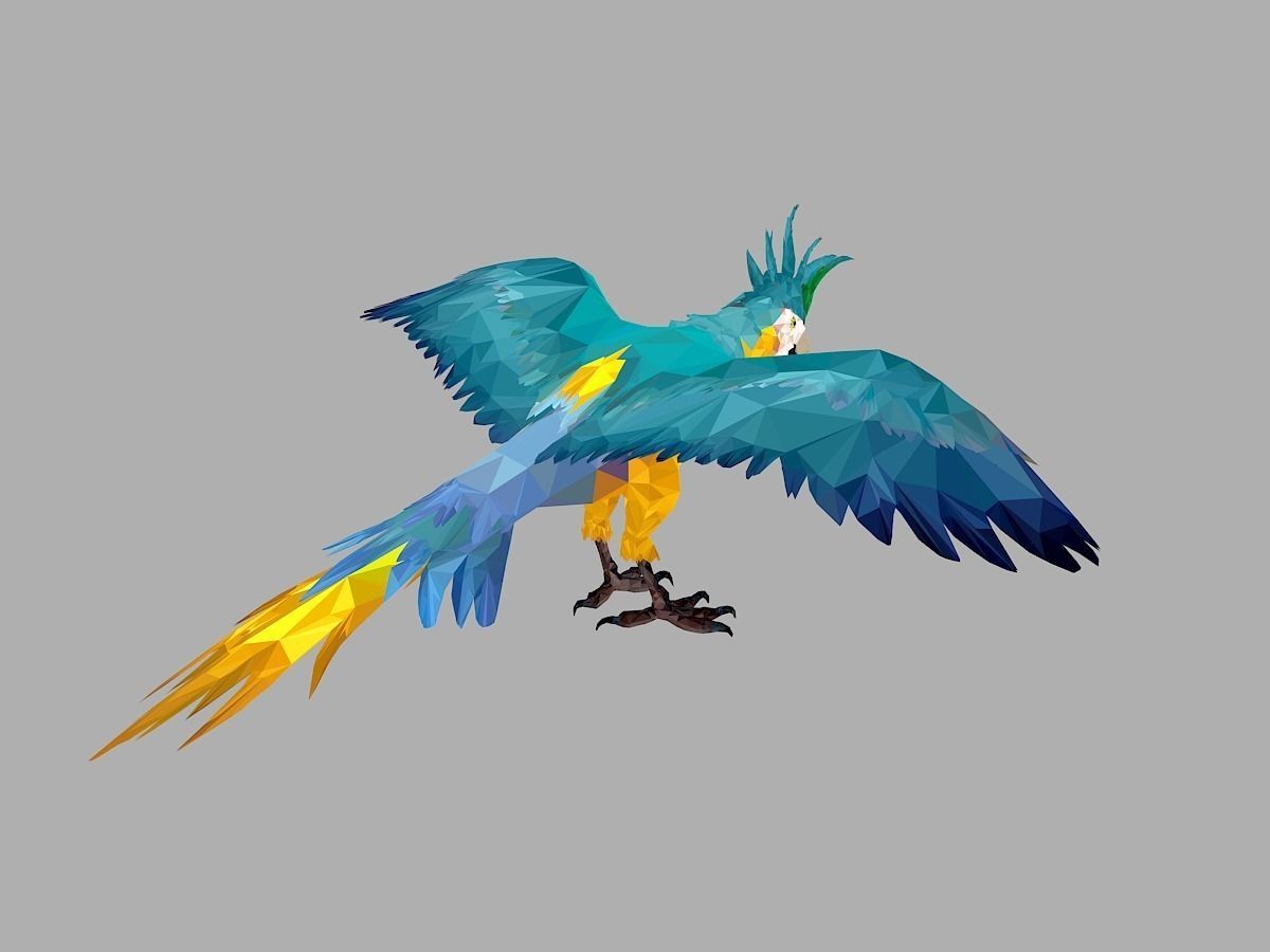 Blue Parrot Low Polygon Art Bird Animal Low-poly 3D model_23