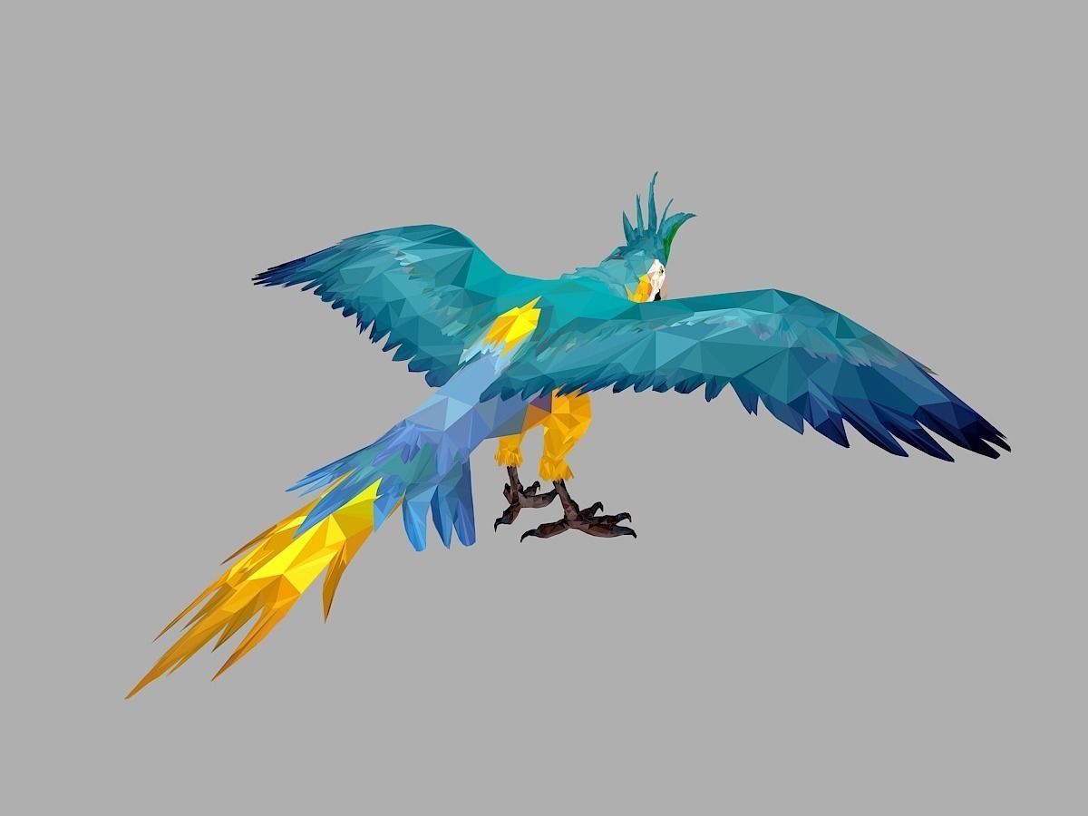Blue Parrot Low Polygon Art Bird Animal Low-poly 3D model_22