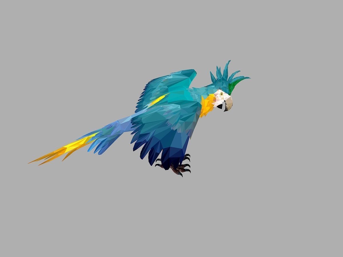 Blue Parrot Low Polygon Art Bird Animal Low-poly 3D model_26