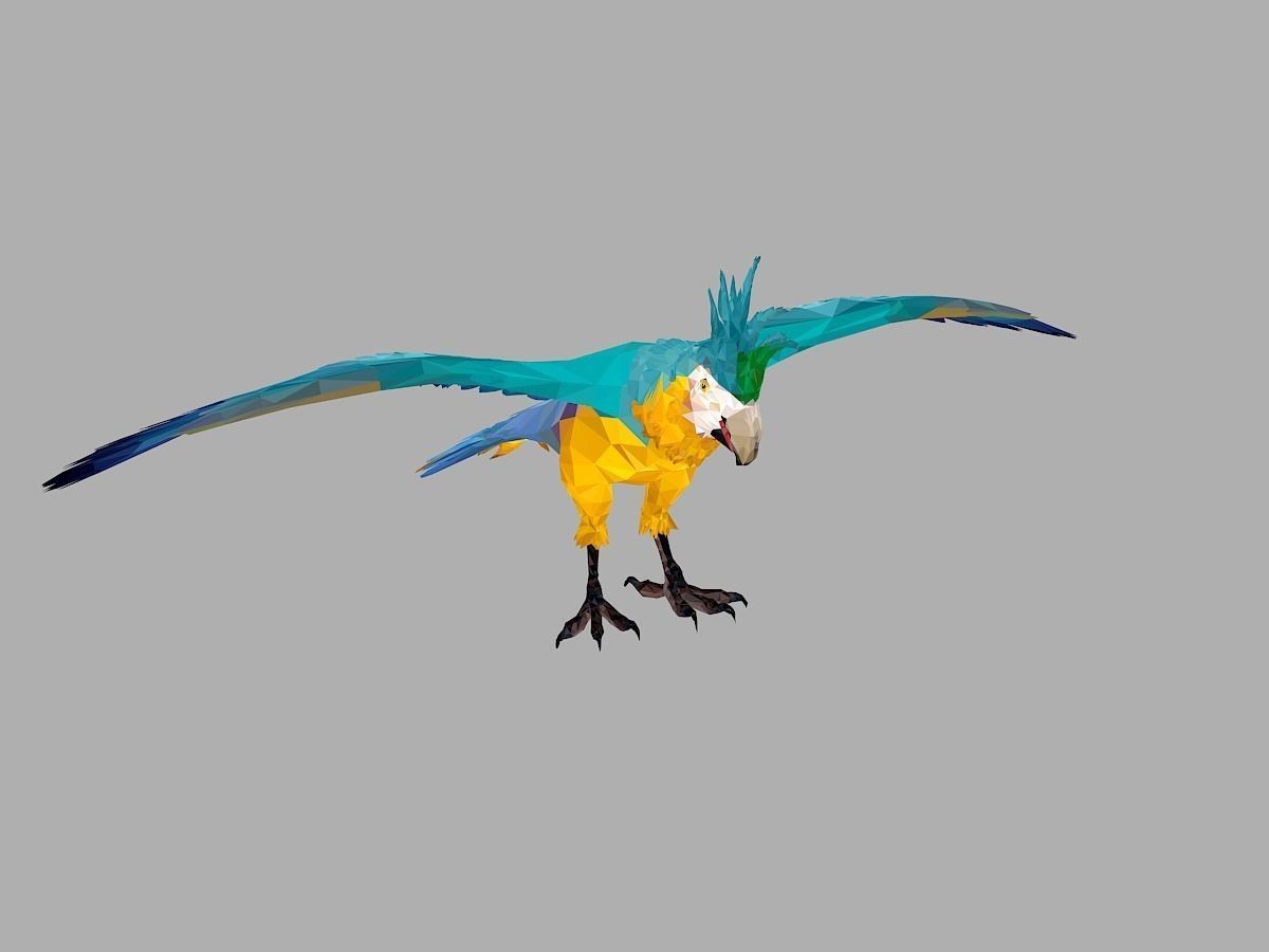 Blue Parrot Low Polygon Art Bird Animal Low-poly 3D model_2