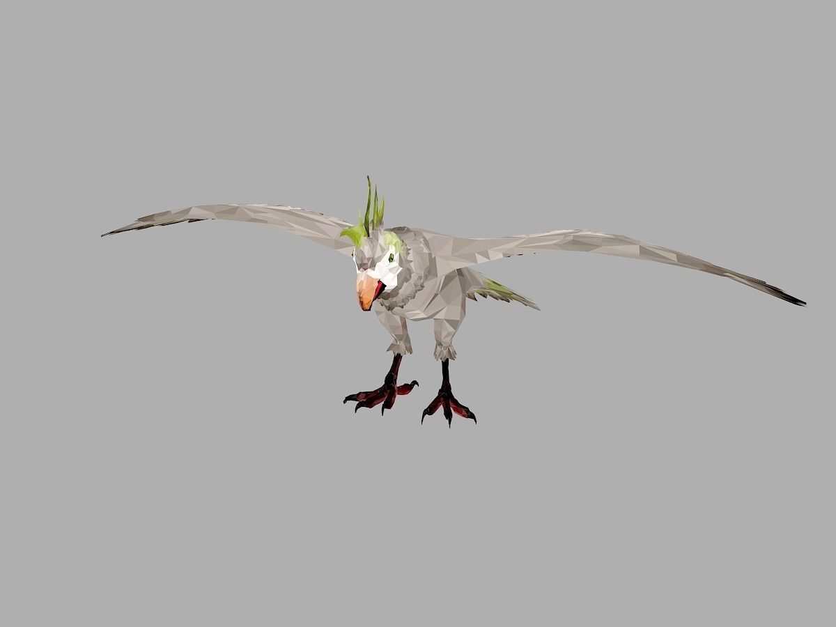 Parrot Low Polygon Art Bird Animal Low-poly 3D model_3