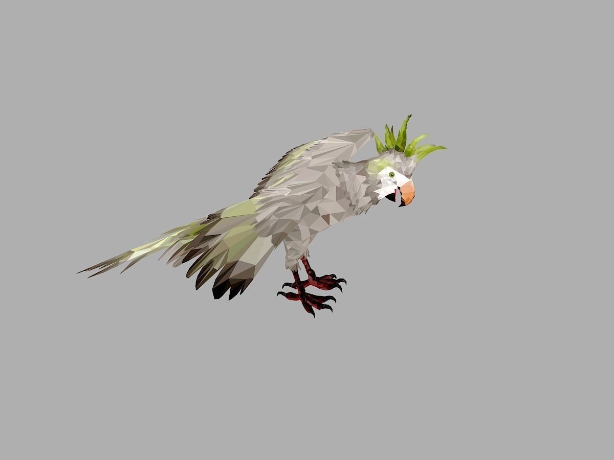 Parrot Low Polygon Art Bird Animal Low-poly 3D model_27