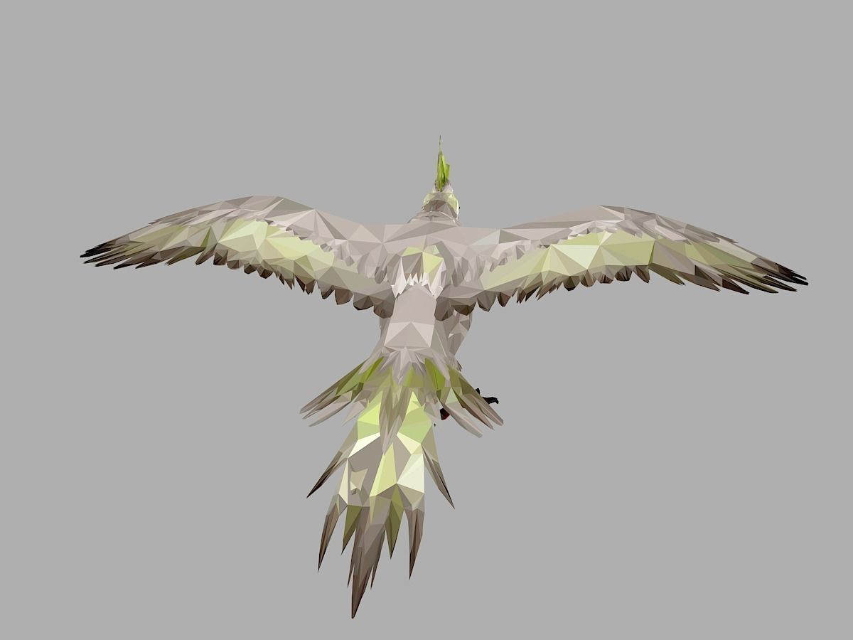Parrot Low Polygon Art Bird Animal Low-poly 3D model_19