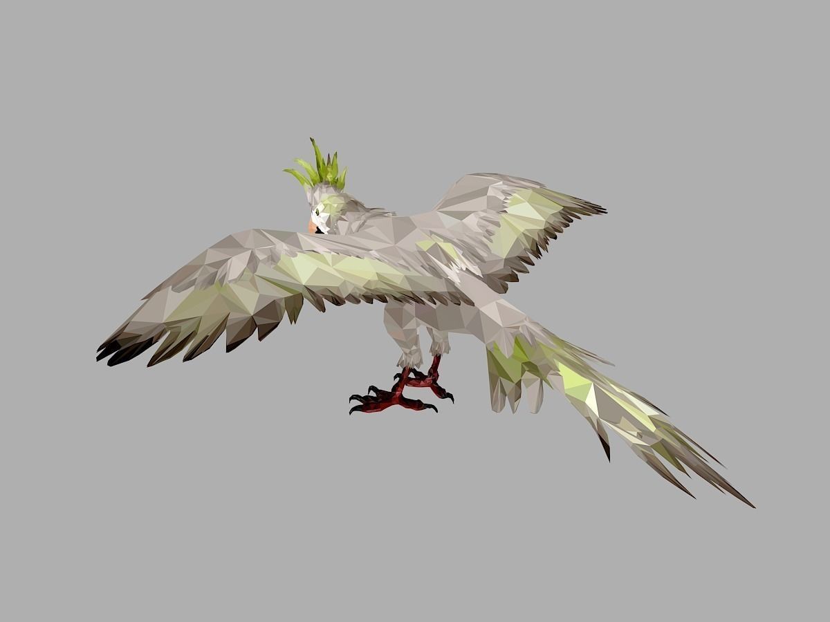 Parrot Low Polygon Art Bird Animal Low-poly 3D model_13