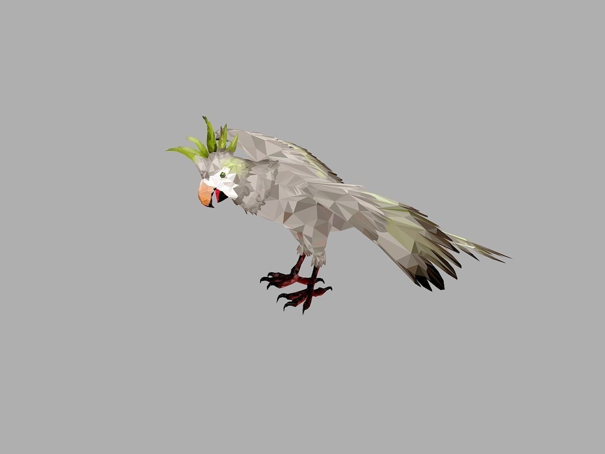 Parrot Low Polygon Art Bird Animal Low-poly 3D model_10
