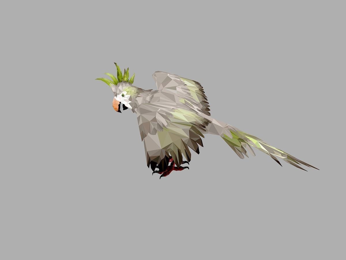 Parrot Low Polygon Art Bird Animal Low-poly 3D model_15