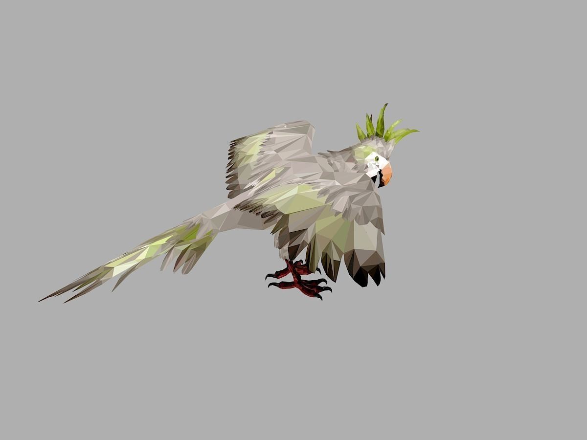 Parrot Low Polygon Art Bird Animal Low-poly 3D model_26