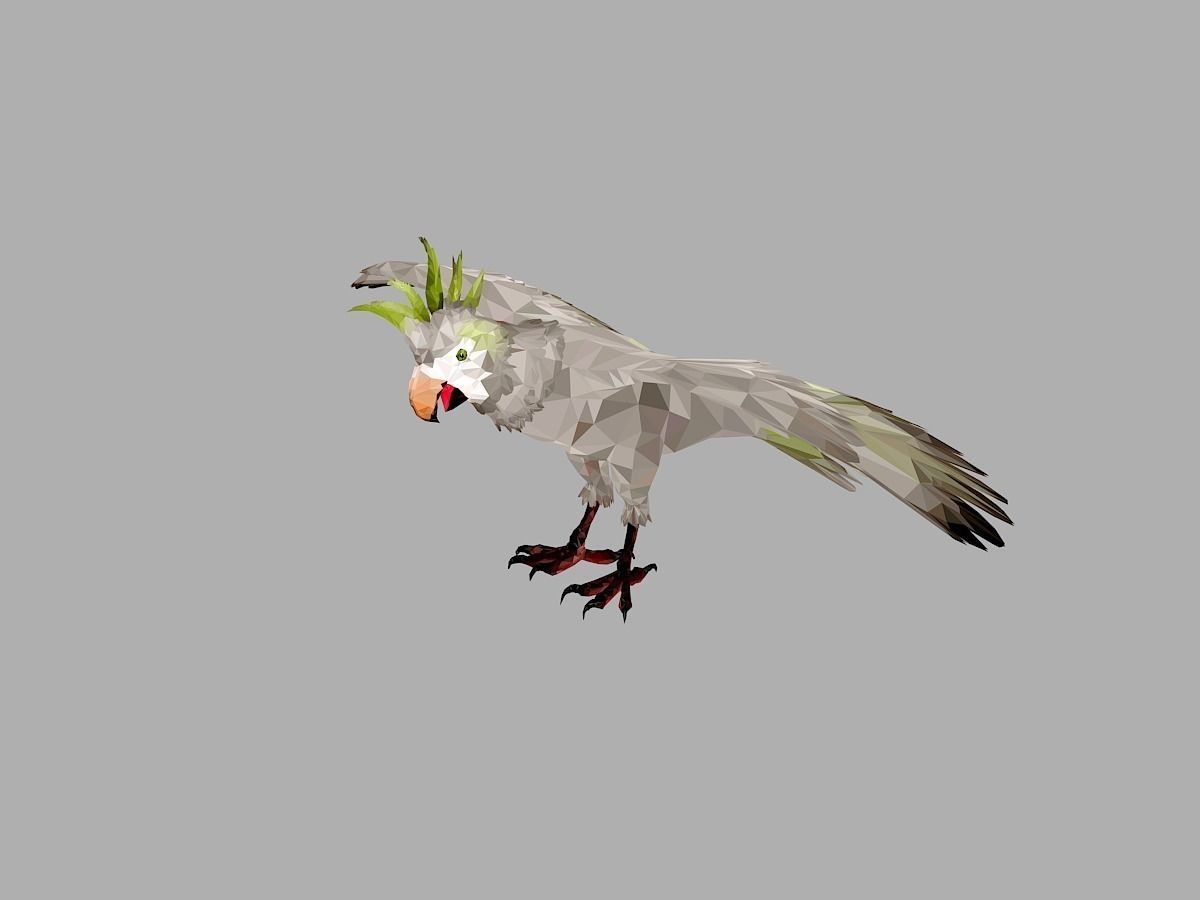 Parrot Low Polygon Art Bird Animal Low-poly 3D model_8