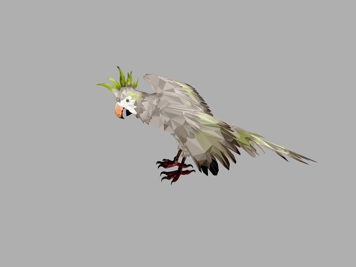 Parrot Low Polygon Art Bird Animal Low-poly 3D model_9