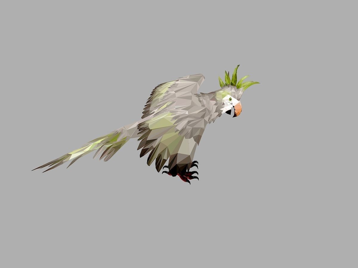 Parrot Low Polygon Art Bird Animal Low-poly 3D model_25