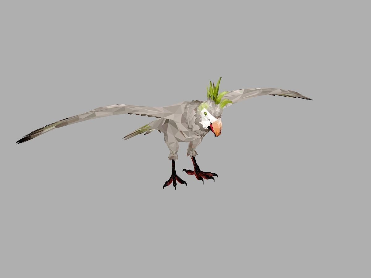 Parrot Low Polygon Art Bird Animal Low-poly 3D model_1