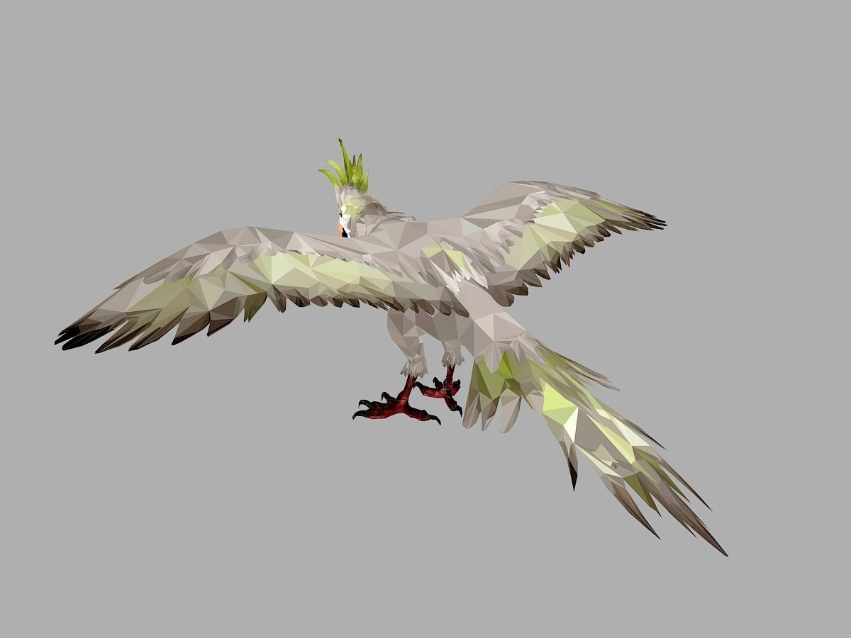 Parrot Low Polygon Art Bird Animal Low-poly 3D model_14