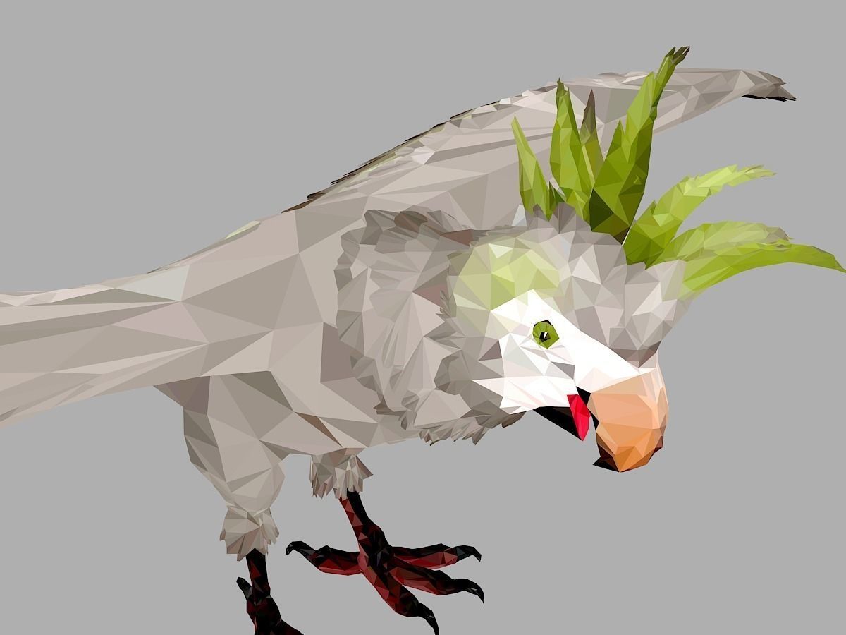 Parrot Low Polygon Art Bird Animal Low-poly 3D model_0