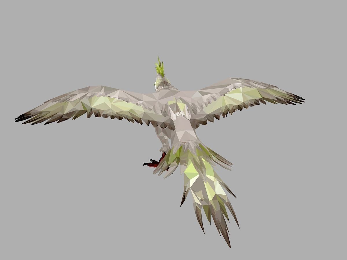 Parrot Low Polygon Art Bird Animal Low-poly 3D model_16