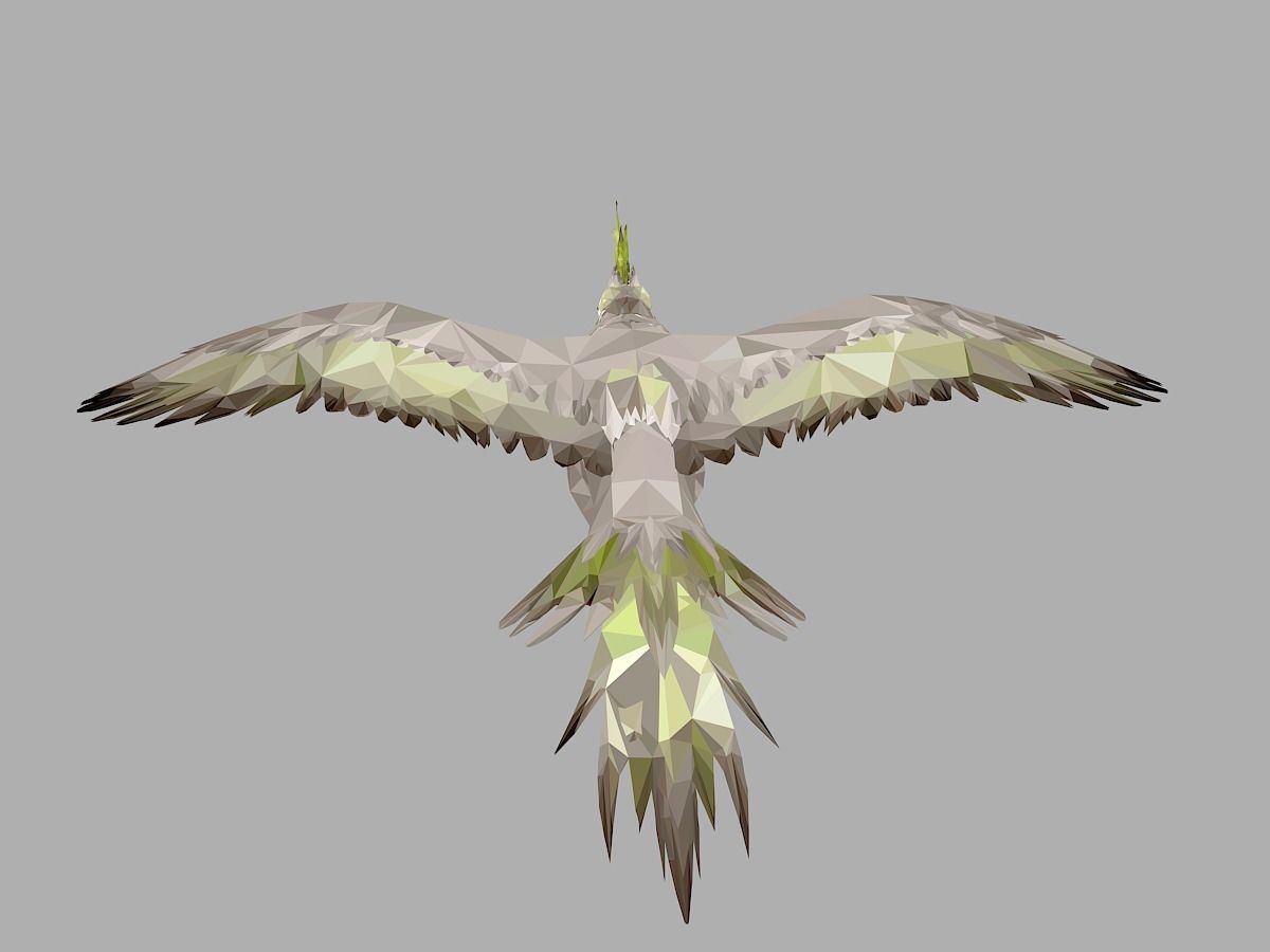 Parrot Low Polygon Art Bird Animal Low-poly 3D model_18