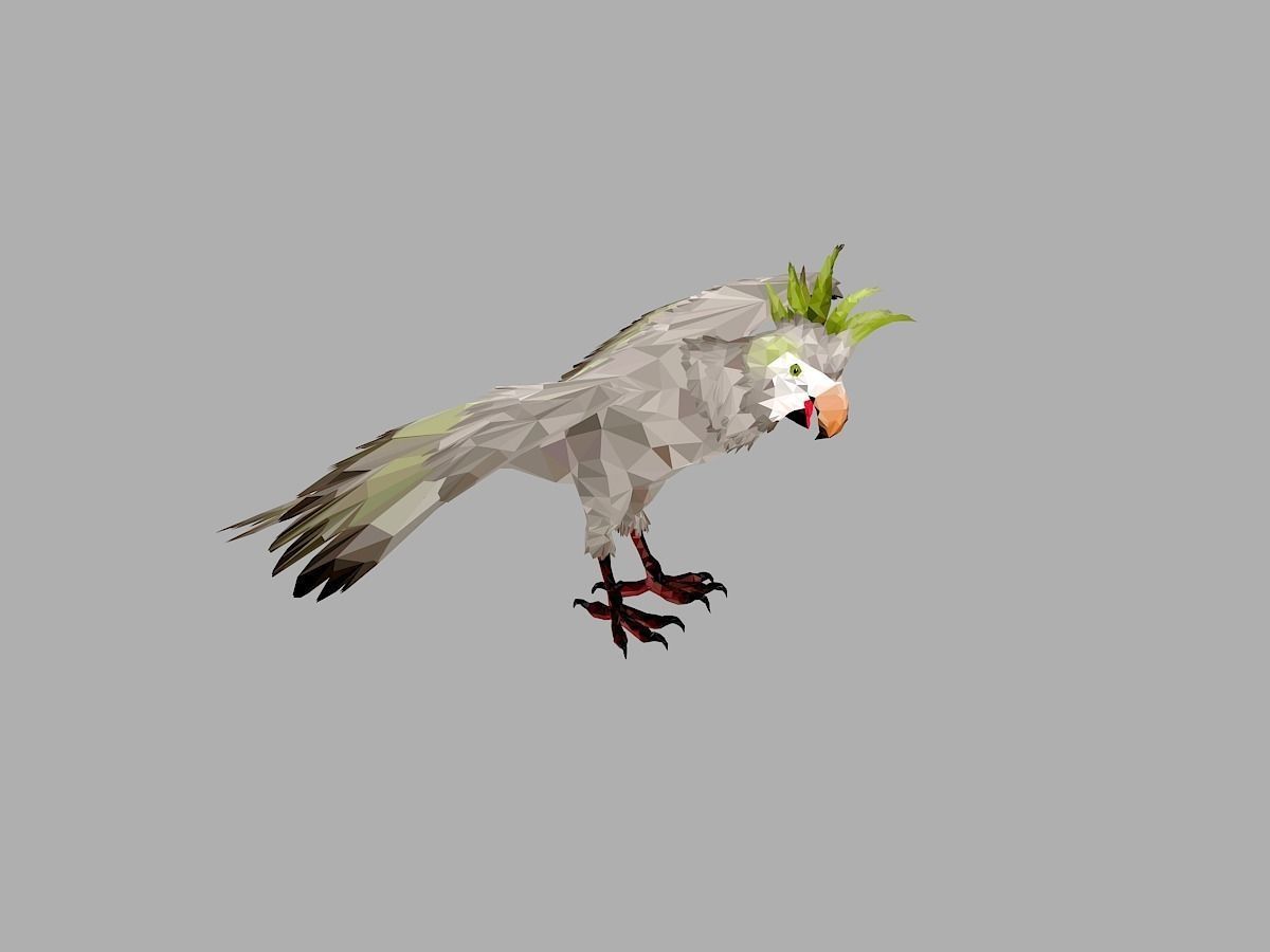 Parrot Low Polygon Art Bird Animal Low-poly 3D model_28