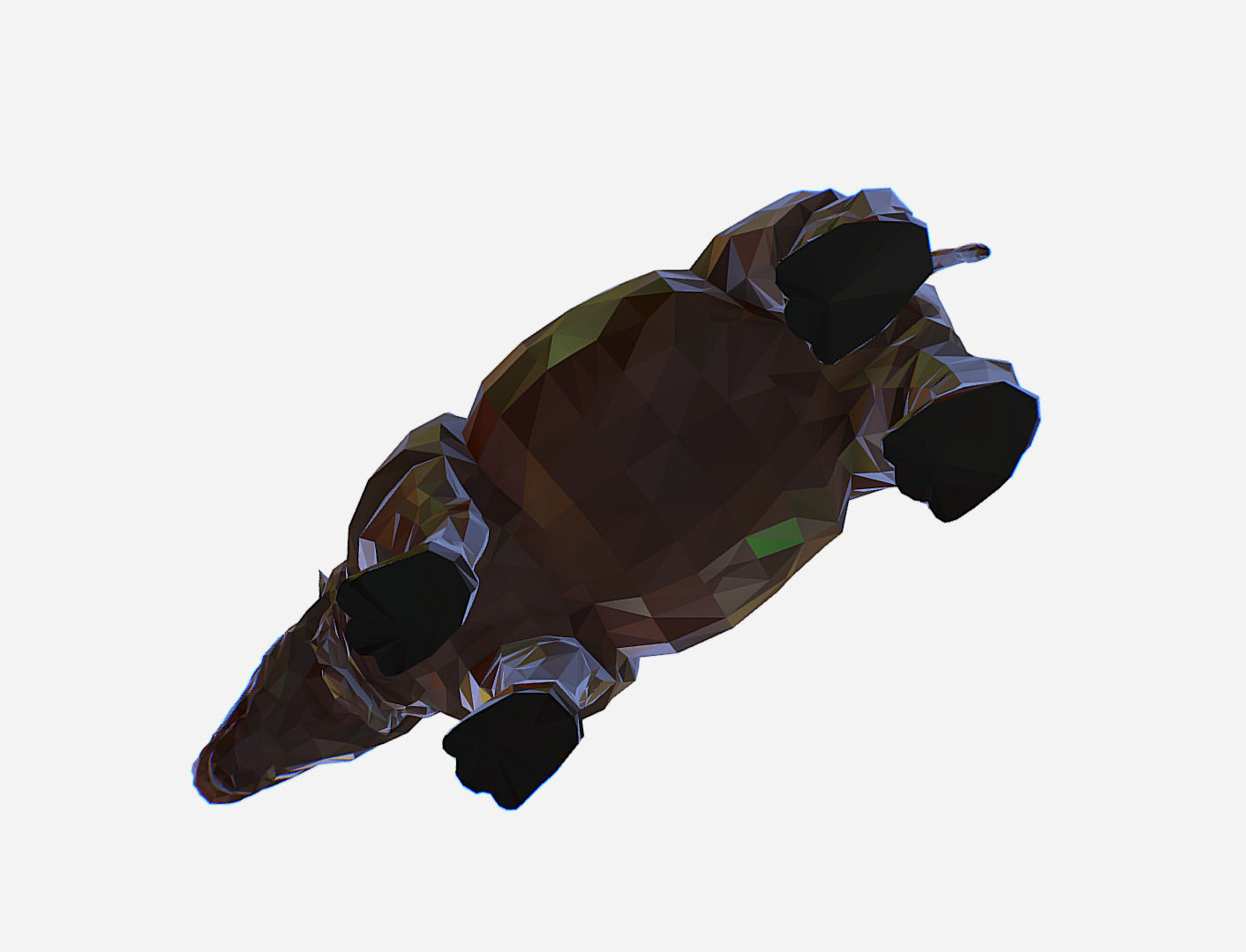 Rhino Low Polygon Art Animal Low-poly 3D model_15