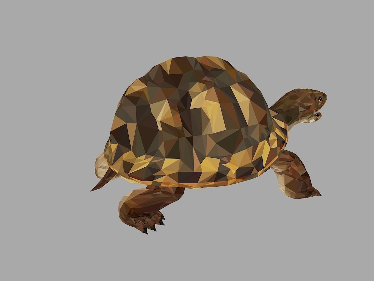 Reptile Turtle Low Polygon Art Animal Low-poly 3D model_20