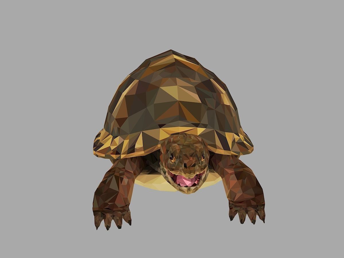 Reptile Turtle Low Polygon Art Animal Low-poly 3D model_4