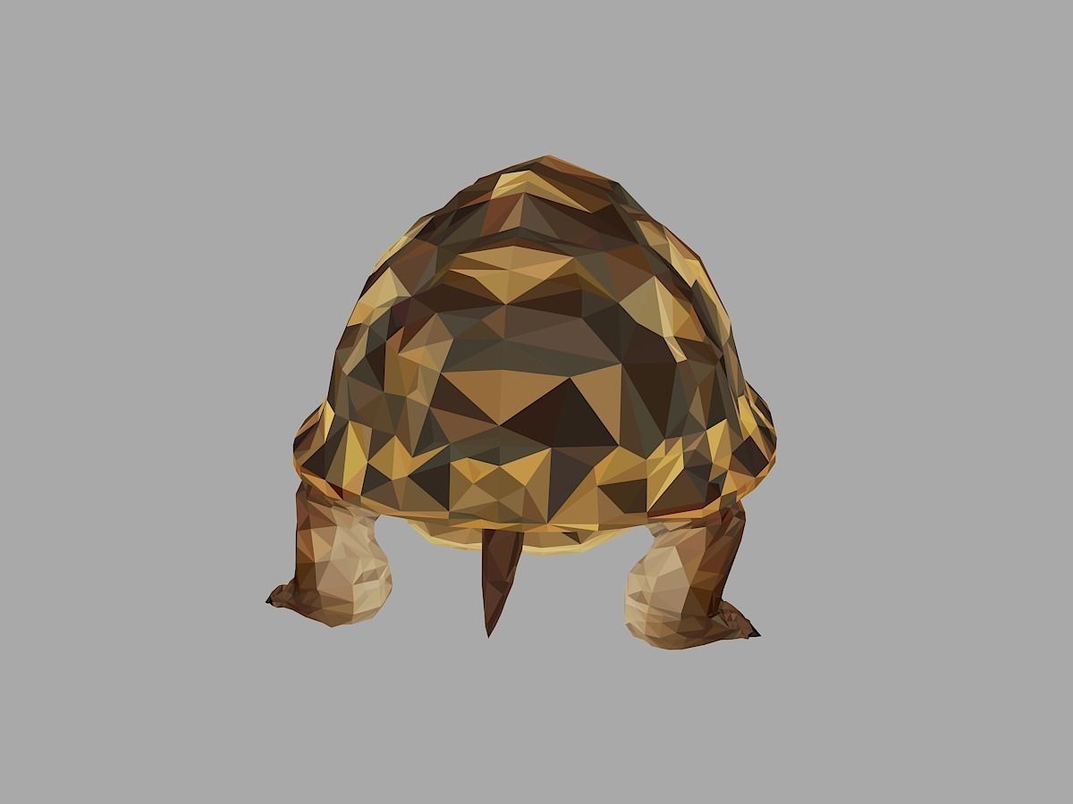 Reptile Turtle Low Polygon Art Animal Low-poly 3D model_18