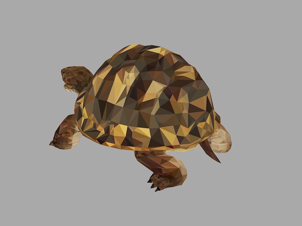 Reptile Turtle Low Polygon Art Animal Low-poly 3D model_15