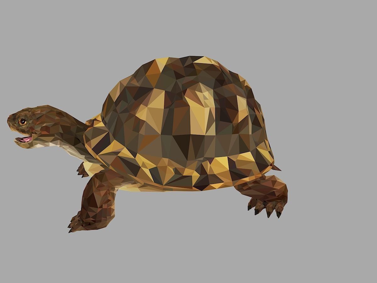 Reptile Turtle Low Polygon Art Animal Low-poly 3D model_8