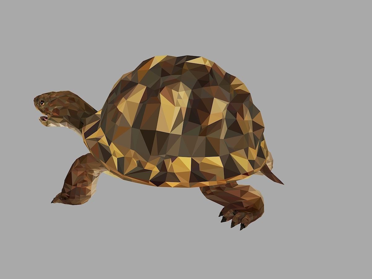 Reptile Turtle Low Polygon Art Animal Low-poly 3D model_11
