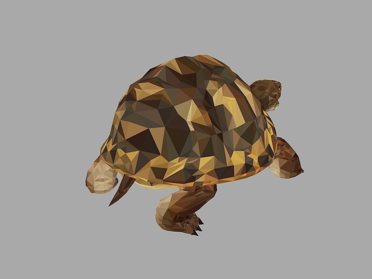 Reptile Turtle Low Polygon Art Animal Low-poly 3D model_23