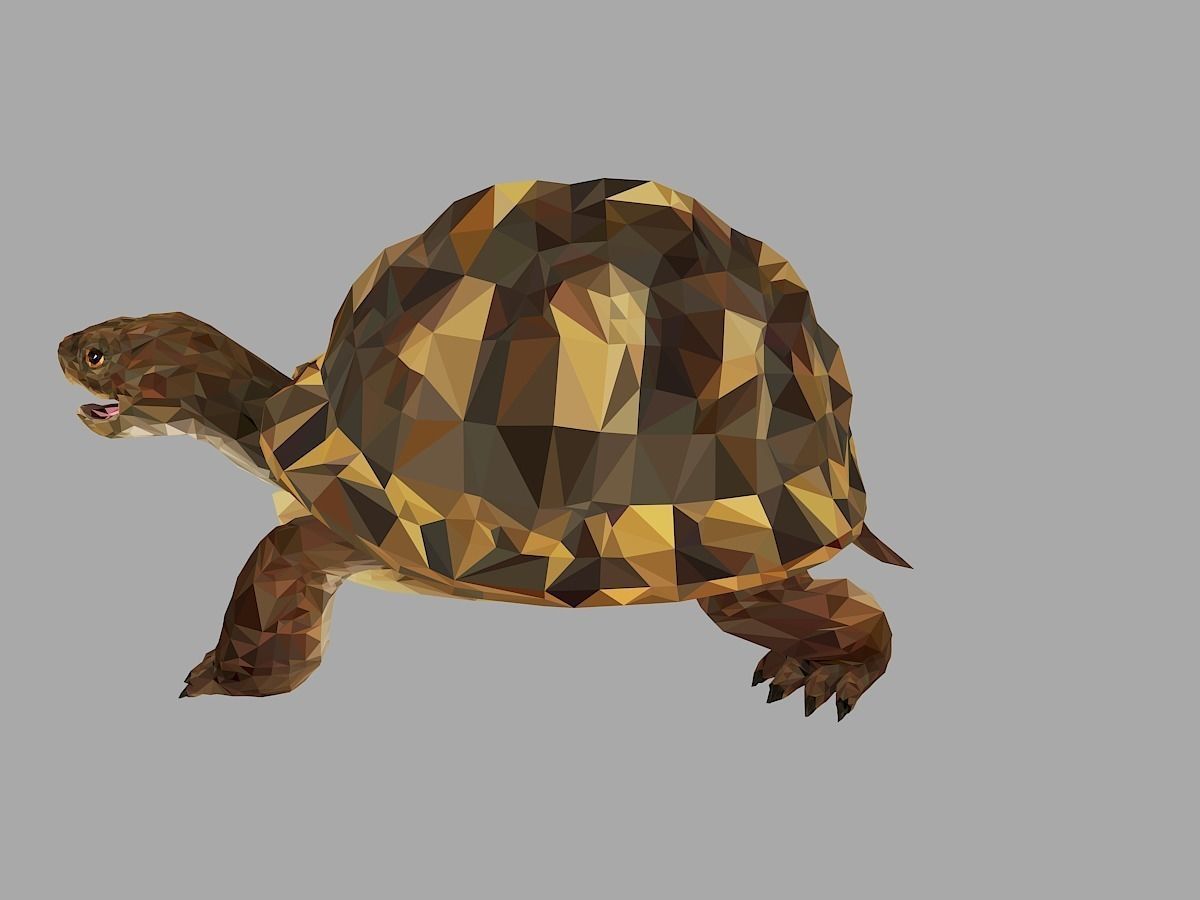 Reptile Turtle Low Polygon Art Animal Low-poly 3D model_7