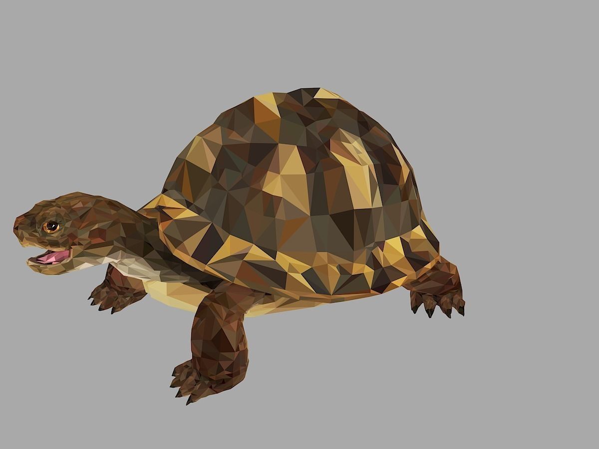 Reptile Turtle Low Polygon Art Animal Low-poly 3D model_12