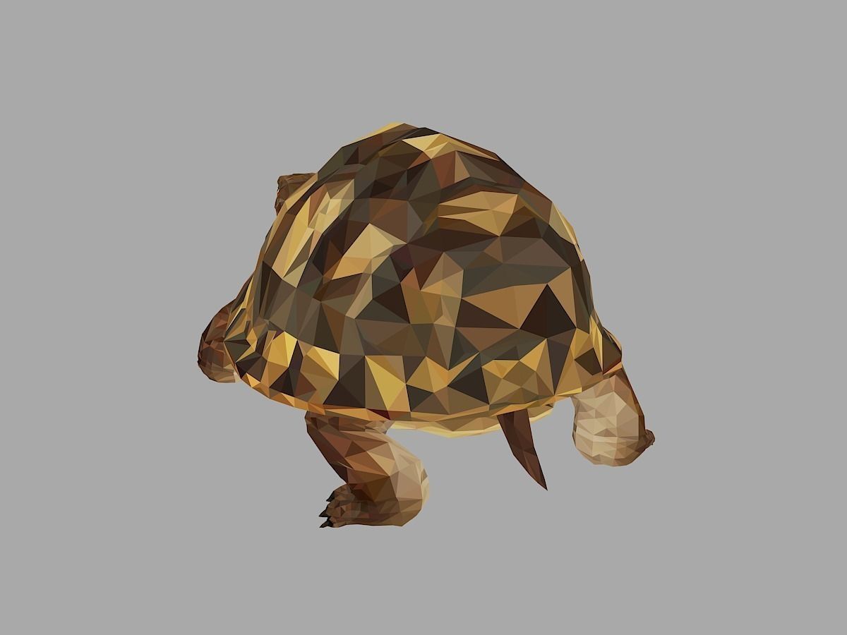 Reptile Turtle Low Polygon Art Animal Low-poly 3D model_17